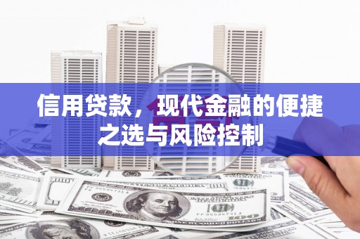 宁城信用贷款，现代金融的便捷之选与风险控制