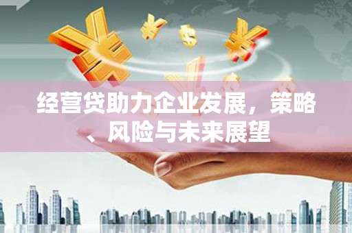 宁城经营贷助力企业发展，策略、风险与未来展望