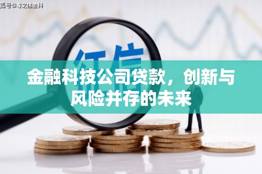 宁城金融科技公司贷款，创新与风险并存的未来