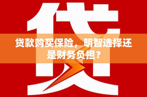 宁城贷款购买保险，明智选择还是财务负担？