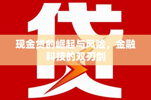 宁城现金贷的崛起与风险，金融科技的双刃剑
