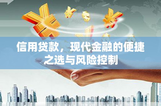 宁城信用贷款，现代金融的便捷之选与风险控制