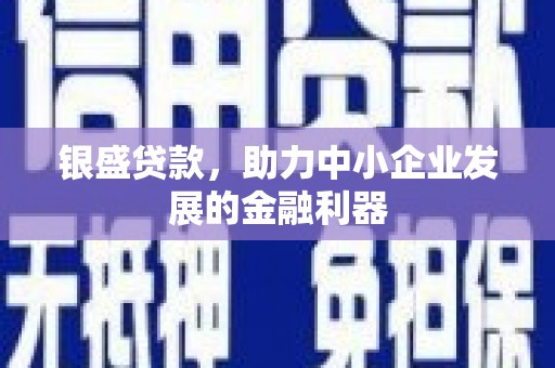 宁城银盛贷款，助力中小企业发展的金融利器