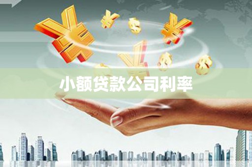 宁城小额贷款公司利率