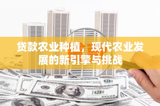 宁城贷款农业种植，现代农业发展的新引擎与挑战