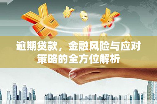 宁城逾期贷款，金融风险与应对策略的全方位解析