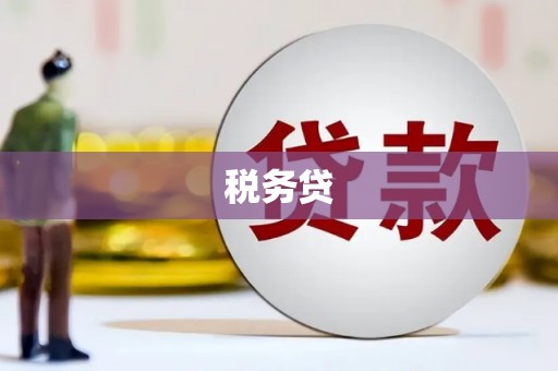 宁城税务贷