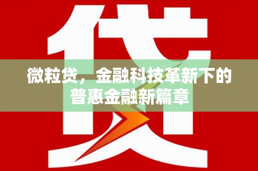 宁城微粒贷，金融科技革新下的普惠金融新篇章