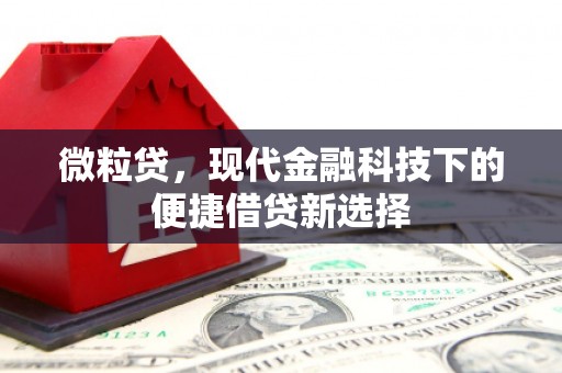 宁城微粒贷，现代金融科技下的便捷借贷新选择