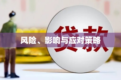 宁城风险、影响与应对策略