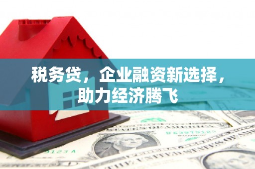 宁城税务贷，企业融资新选择，助力经济腾飞