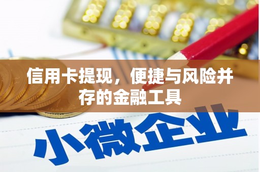 宁城信用卡提现，便捷与风险并存的金融工具