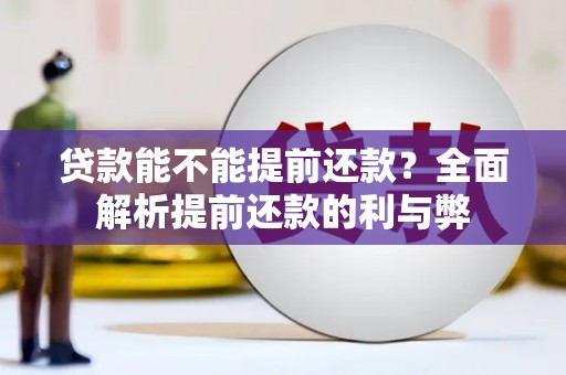 宁城贷款能不能提前还款？全面解析提前还款的利与弊