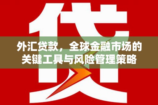 宁城外汇贷款，全球金融市场的关键工具与风险管理策略