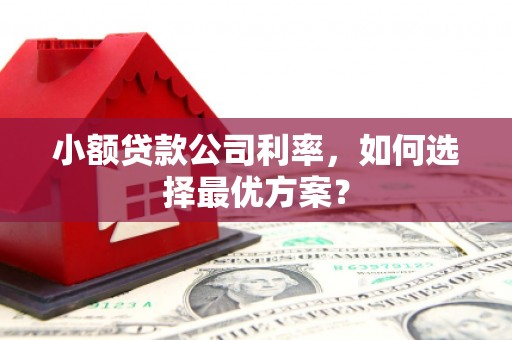 宁城小额贷款公司利率，如何选择最优方案？