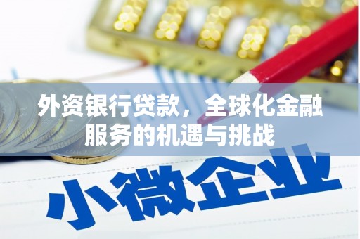 宁城外资银行贷款，全球化金融服务的机遇与挑战