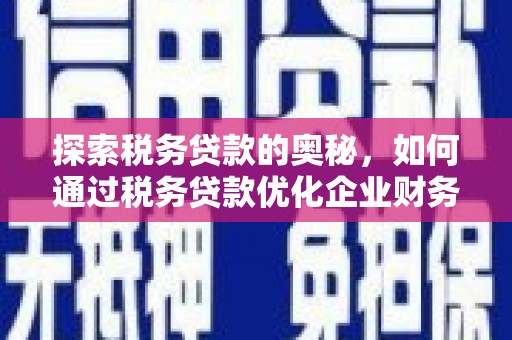 宁城探索税务贷款的奥秘，如何通过税务贷款优化企业财务