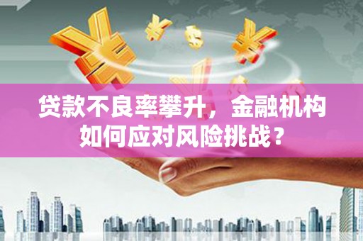 宁城贷款不良率攀升，金融机构如何应对风险挑战？