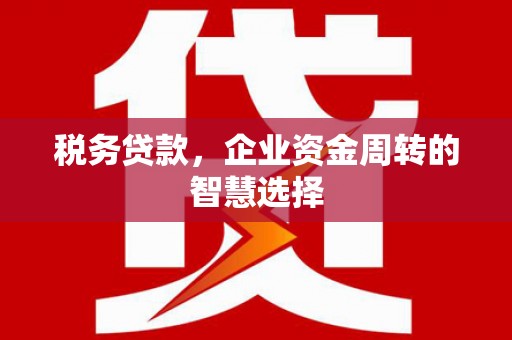 宁城税务贷款，企业资金周转的智慧选择