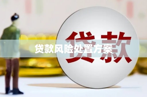 宁城贷款风险处置方案
