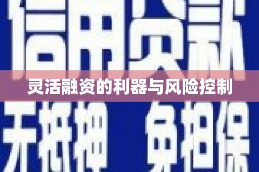 宁城灵活融资的利器与风险控制