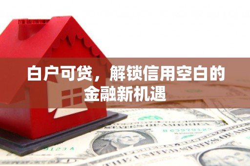 宁城白户可贷，解锁信用空白的金融新机遇