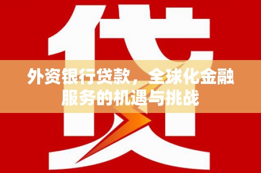 宁城外资银行贷款，全球化金融服务的机遇与挑战