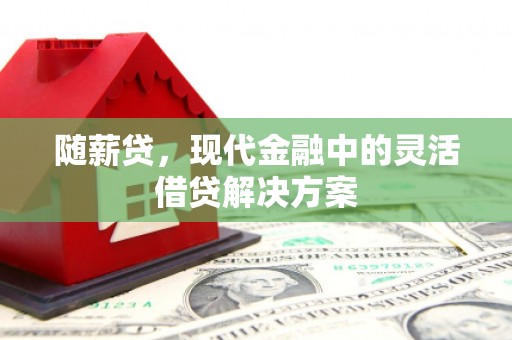 宁城随薪贷，现代金融中的灵活借贷解决方案