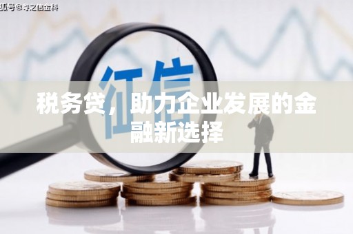 宁城税务贷，助力企业发展的金融新选择