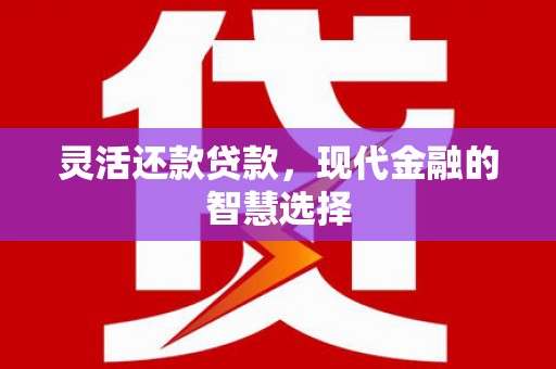 宁城灵活还款贷款，现代金融的智慧选择