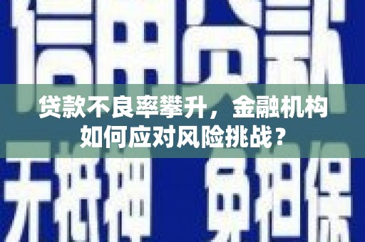 宁城贷款不良率攀升，金融机构如何应对风险挑战？