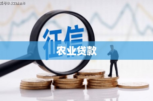 宁城农业贷款