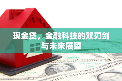 宁城现金贷，金融科技的双刃剑与未来展望