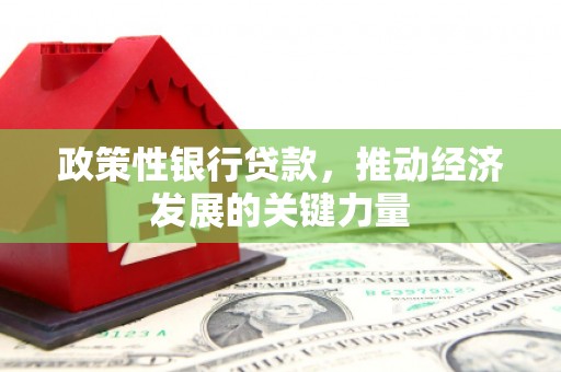 宁城政策性银行贷款，推动经济发展的关键力量