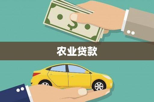 宁城农业贷款