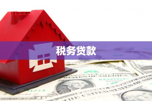 宁城税务贷款