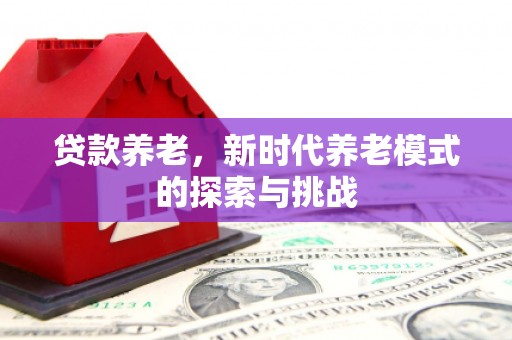 宁城贷款养老，新时代养老模式的探索与挑战