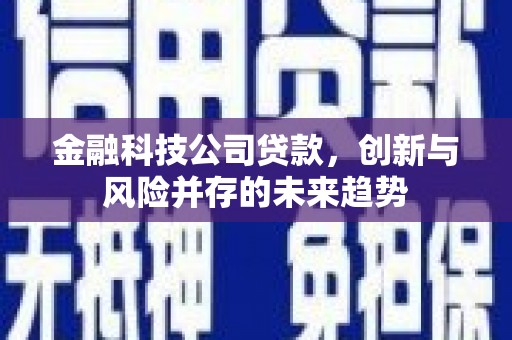 宁城金融科技公司贷款，创新与风险并存的未来趋势