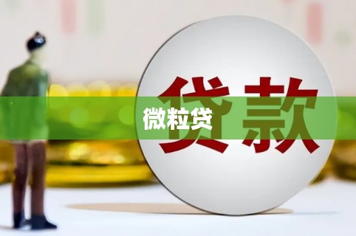 宁城微粒贷