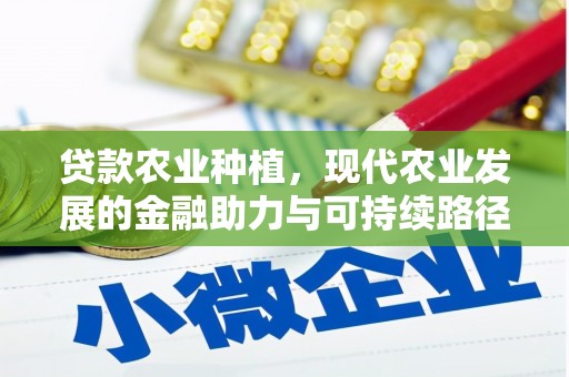 宁城贷款农业种植，现代农业发展的金融助力与可持续路径