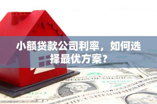 宁城小额贷款公司利率，如何选择最优方案？