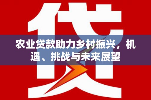 宁城农业贷款助力乡村振兴，机遇、挑战与未来展望