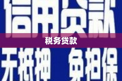 宁城税务贷款