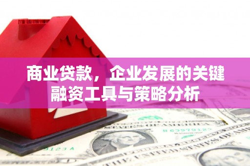 宁城商业贷款，企业发展的关键融资工具与策略分析