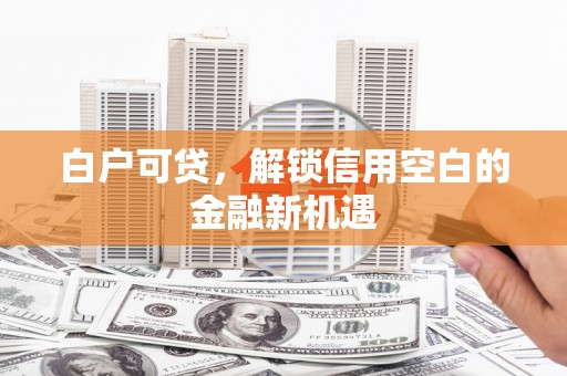 宁城白户可贷，解锁信用空白的金融新机遇
