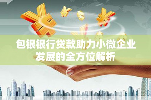宁城包银银行贷款助力小微企业发展的全方位解析