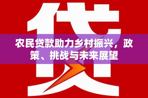 宁城农民贷款助力乡村振兴，政策、挑战与未来展望