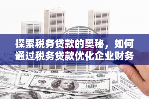 宁城探索税务贷款的奥秘，如何通过税务贷款优化企业财务