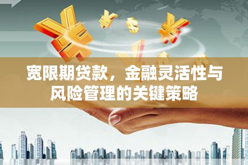 宁城宽限期贷款，金融灵活性与风险管理的关键策略