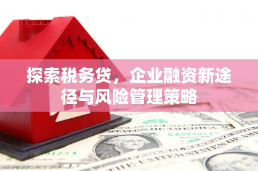 宁城探索税务贷，企业融资新途径与风险管理策略